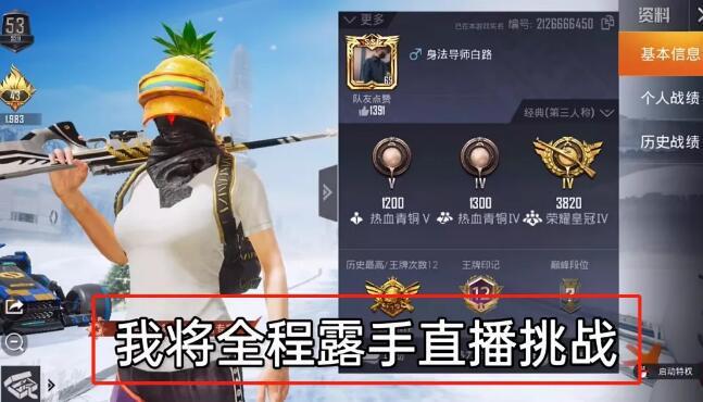 揭秘和平精英辅助工具的真相：你真的需要它吗